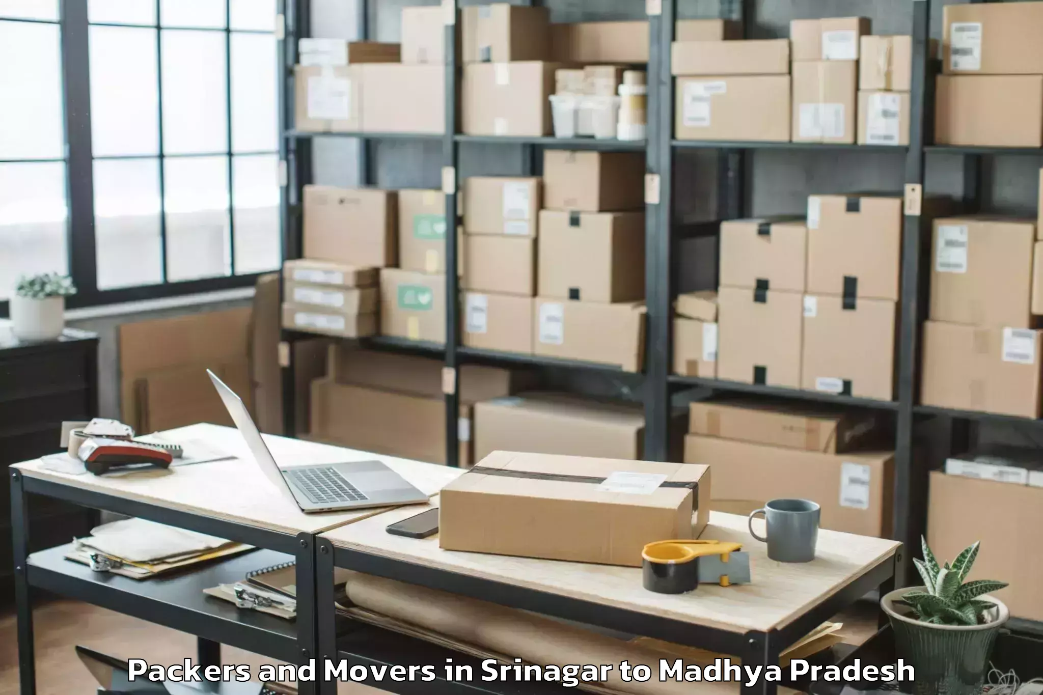 Professional Srinagar to Anuppur Packers And Movers